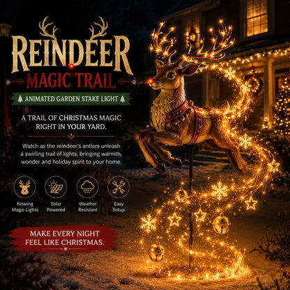 🎄✨"Christmas Magic Garden" Collection – Transform your garden into a winter wonderland with enchanting, flowing lights
