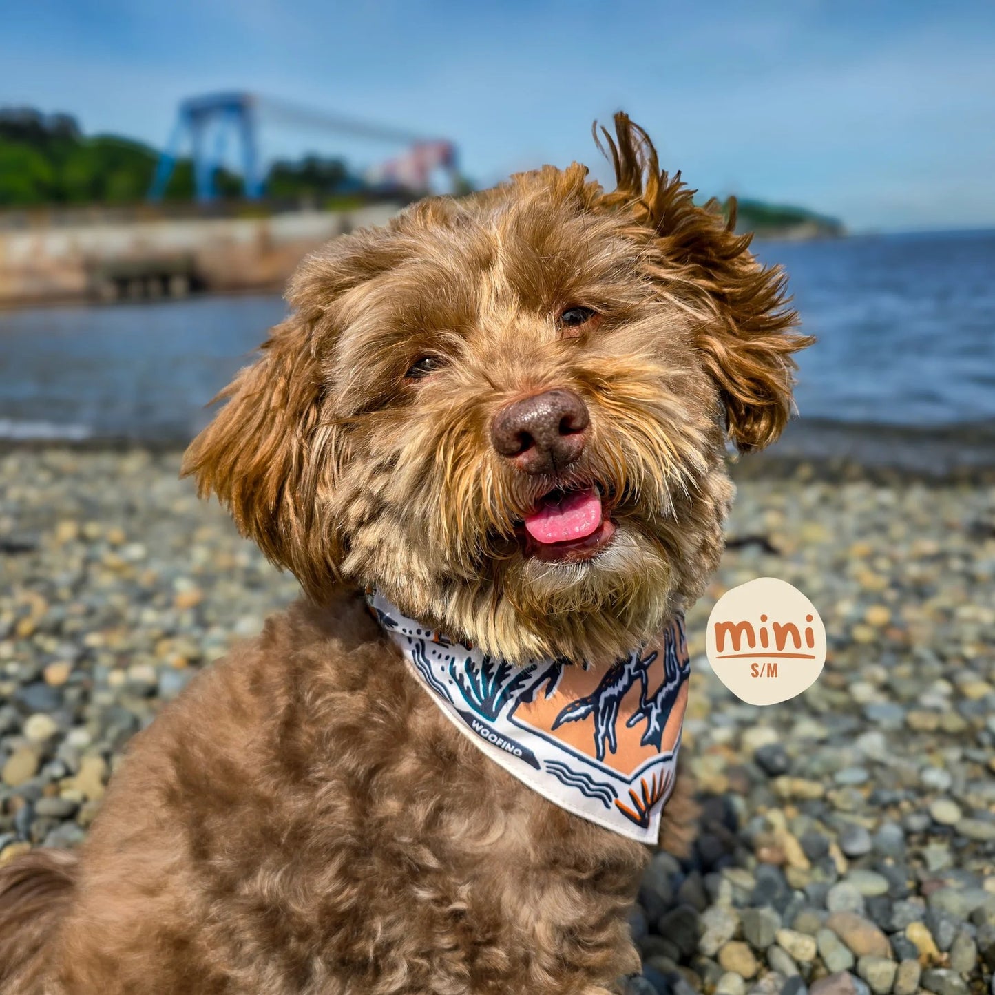 🐶2-in-1 Reversible Dog Bandana Bowl