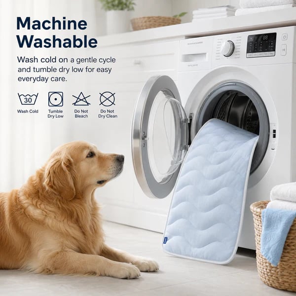 ❄️Cooling Pet Mat For Summer