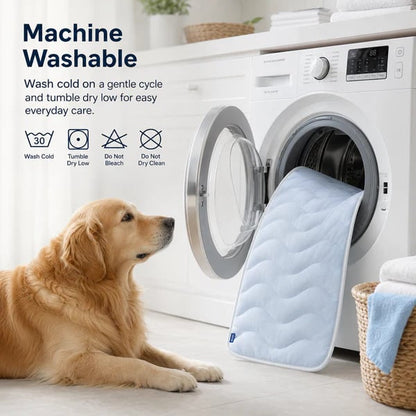 ❄️Cooling Pet Mat For Summer