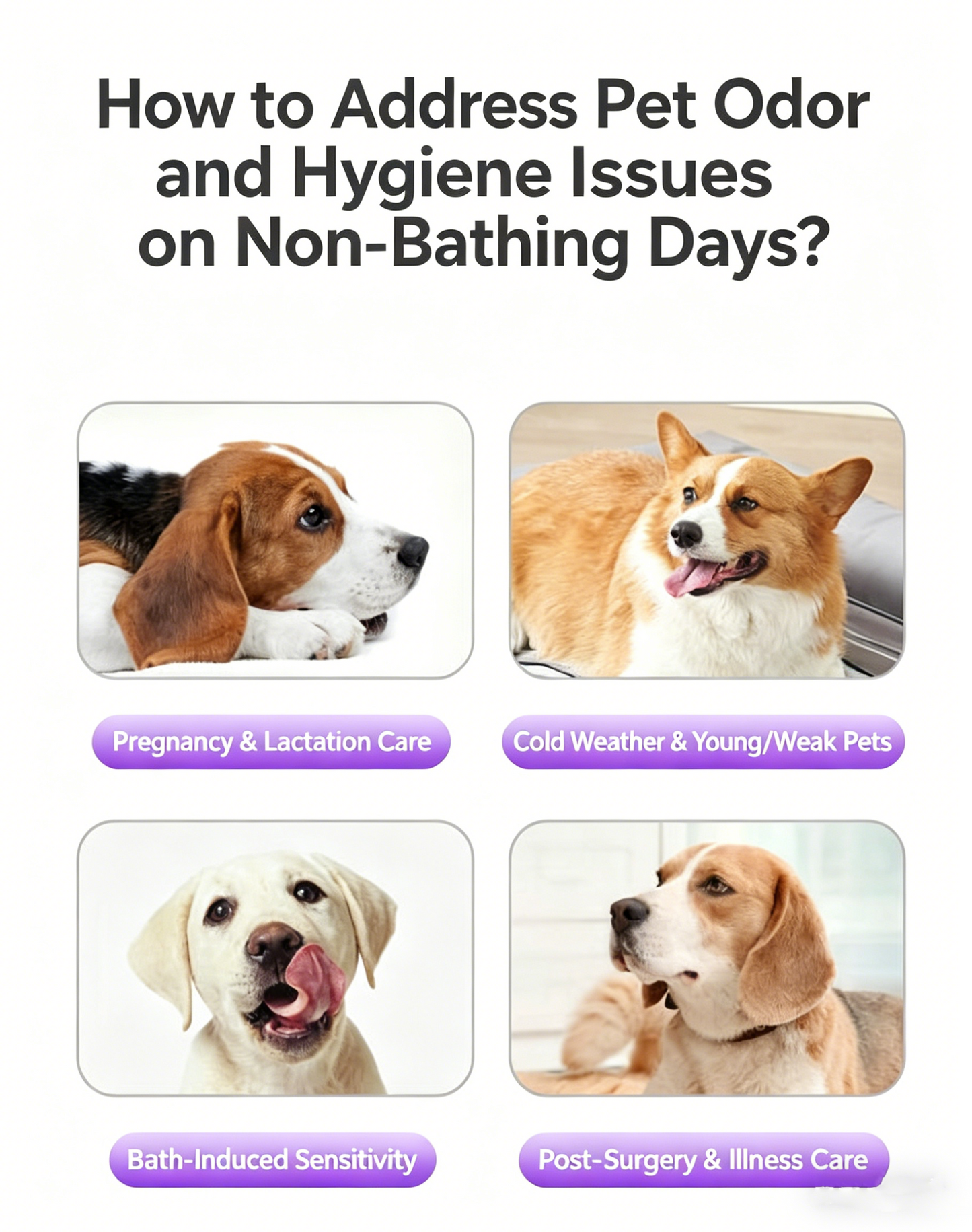 🏆 [BEST SELLER] 5-Minute "No-Rinse" Pet Grooming Gloves for gentle cleaning