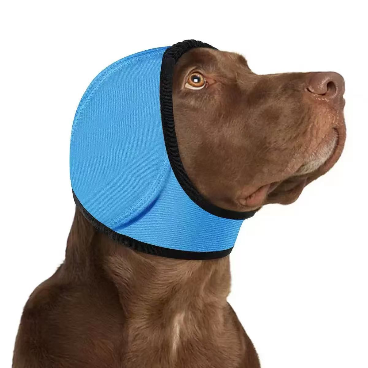 🐱LAST DAY SALE: ONLY $19.9!!🎁✨Waterproof Dog Calming Hoodie