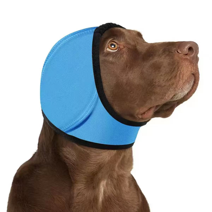 🐱LAST DAY SALE: ONLY $19.9!!🎁✨Waterproof Dog Calming Hoodie