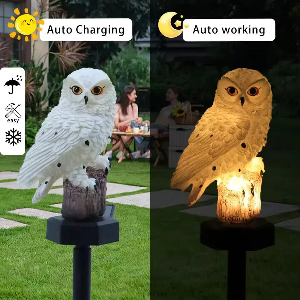 Brighten your garden path today Solar Owl Pathway Light