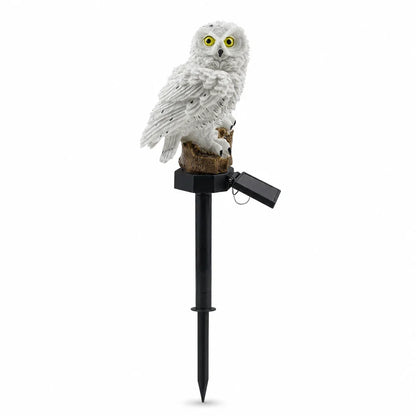 Brighten your garden path today Solar Owl Pathway Light