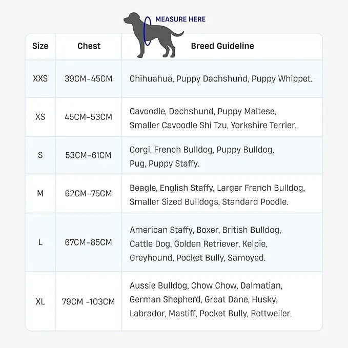 Dog Friendly Co. No-Pull Dog Harness