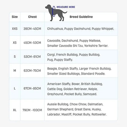 Dog Friendly Co. No-Pull Dog Harness
