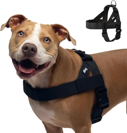Dog Friendly Co. No-Pull Dog Harness