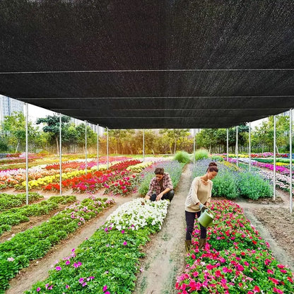 🌞Essential for Summer Camping🔥UV-Resistant Shade Net
