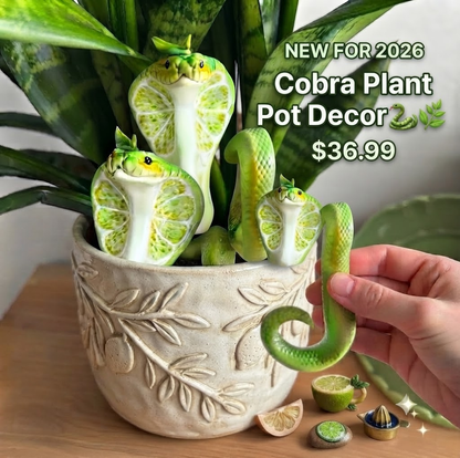 NEW FOR 2026  Cobra Plant Pot Decor🐍🌿