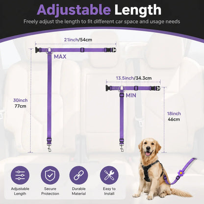 🔥HOT SELL🎁2-in-1 Dog Car Seat Belt & Walking Leash