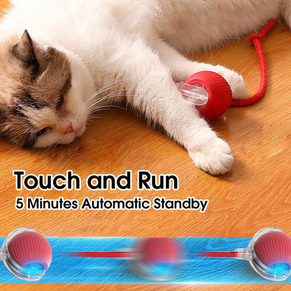 Say goodbye to boring toys — only endless fun awaits!- interactive pet toy ball