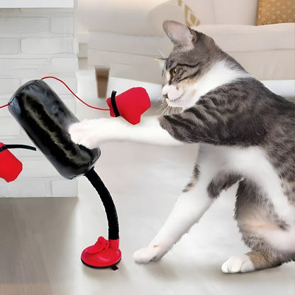 The second half-price offer🔥🔥Mini Cat Punching Bag