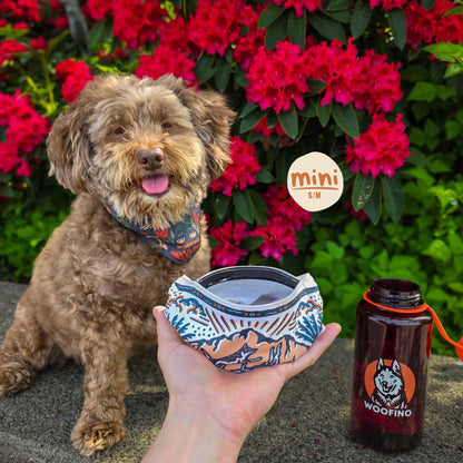 🐶2-in-1 Reversible Dog Bandana Bowl