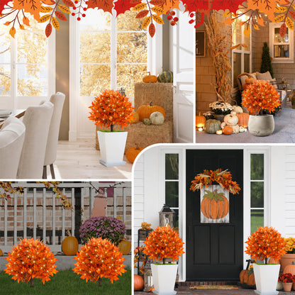 🍂Light-Up Autumn Maple Tree – LED Fall Tree Ornament（2pcs）