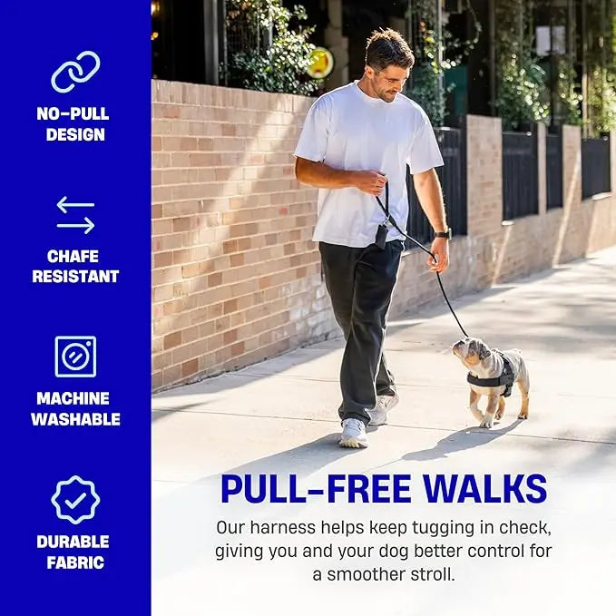 Dog Friendly Co. No-Pull Dog Harness