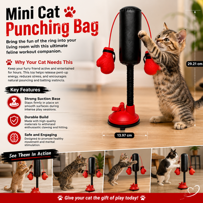 The second half-price offer🔥🔥Mini Cat Punching Bag