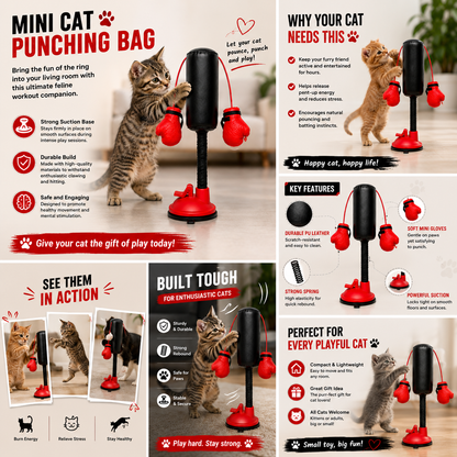 The second half-price offer🔥🔥Mini Cat Punching Bag