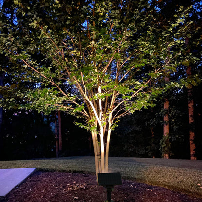 🔥Hot Sales🥳Solar Spotlights with 64 LEDs ✨IP65 Waterproof Outdoor Landscape Lights
