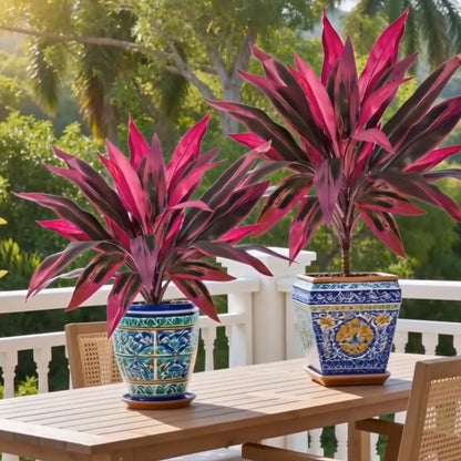 🔥Last Day 50% OFF🔥2Pcs Artificial Dragon's Blood Tree Plants