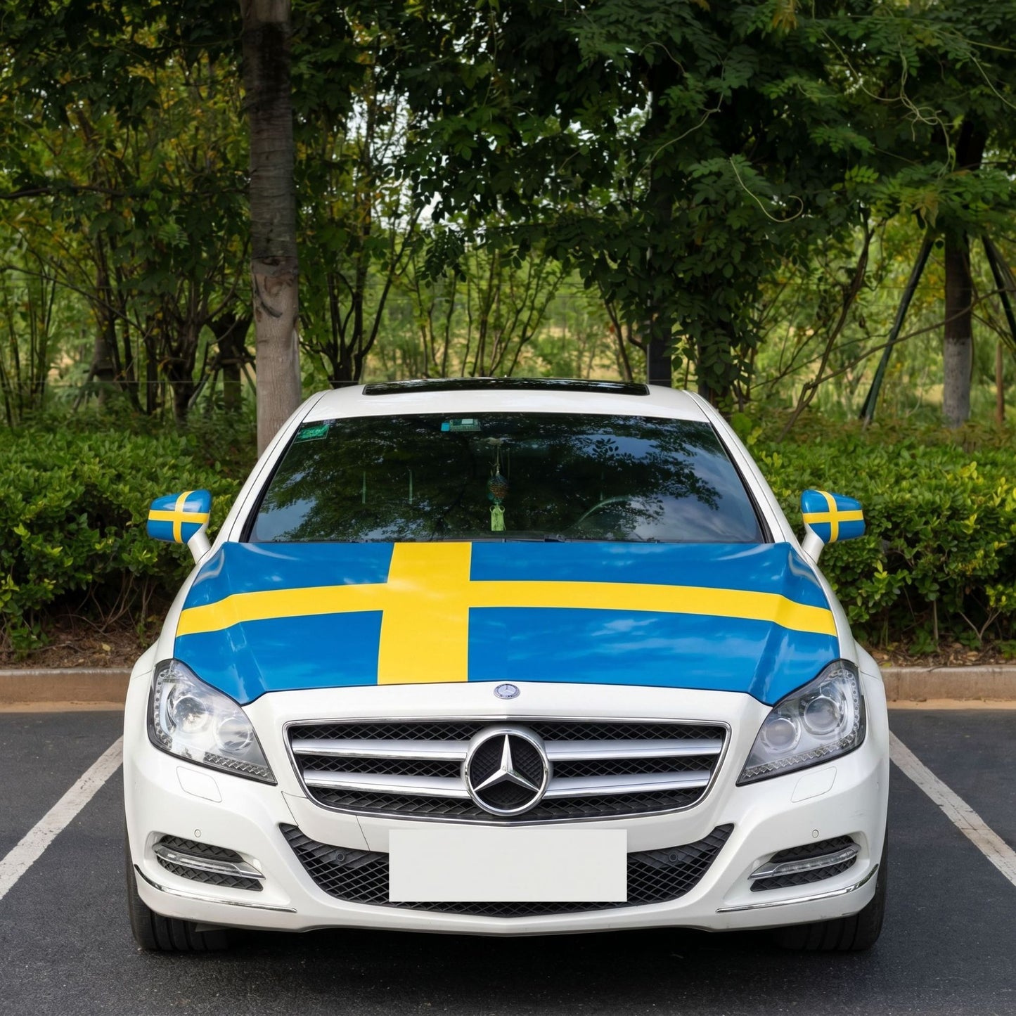 🎉4th Of July Flash Sale 65K+🔥Car Hood Flag🦅