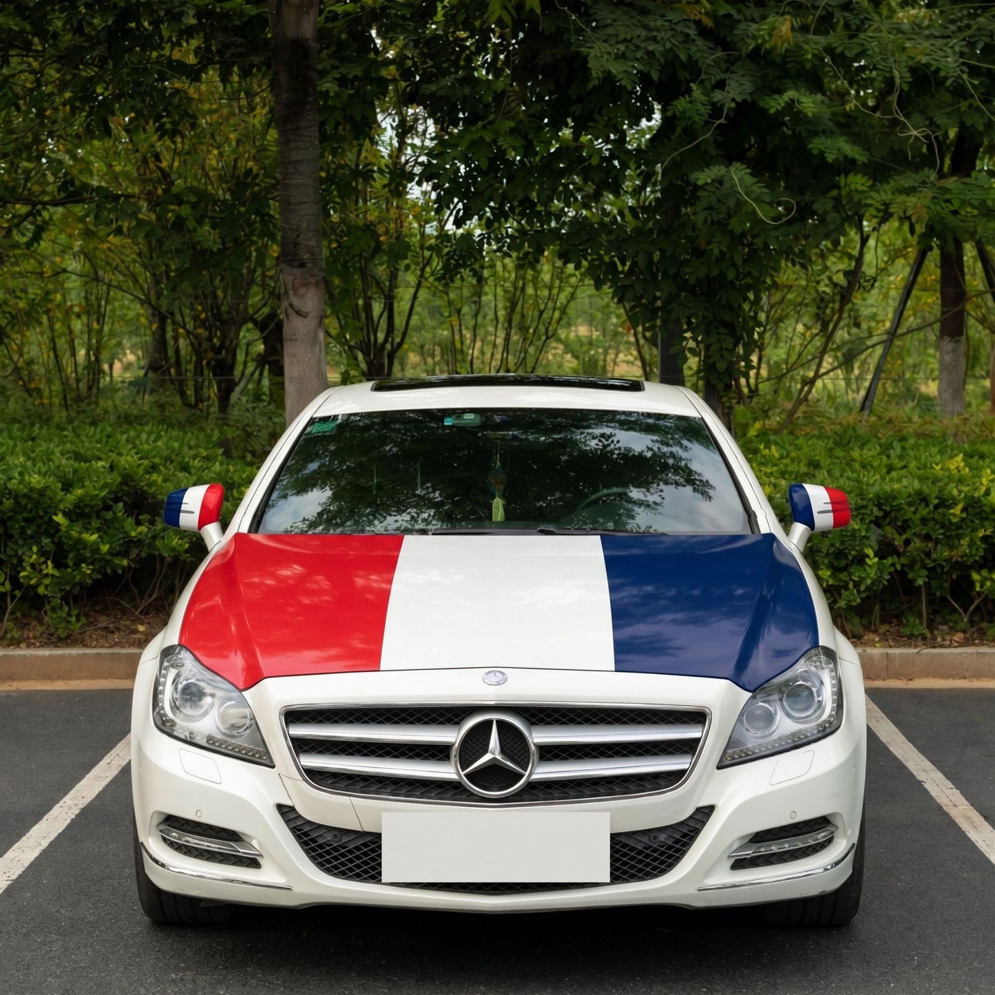 🎉4th Of July Flash Sale 65K+🔥Car Hood Flag🦅