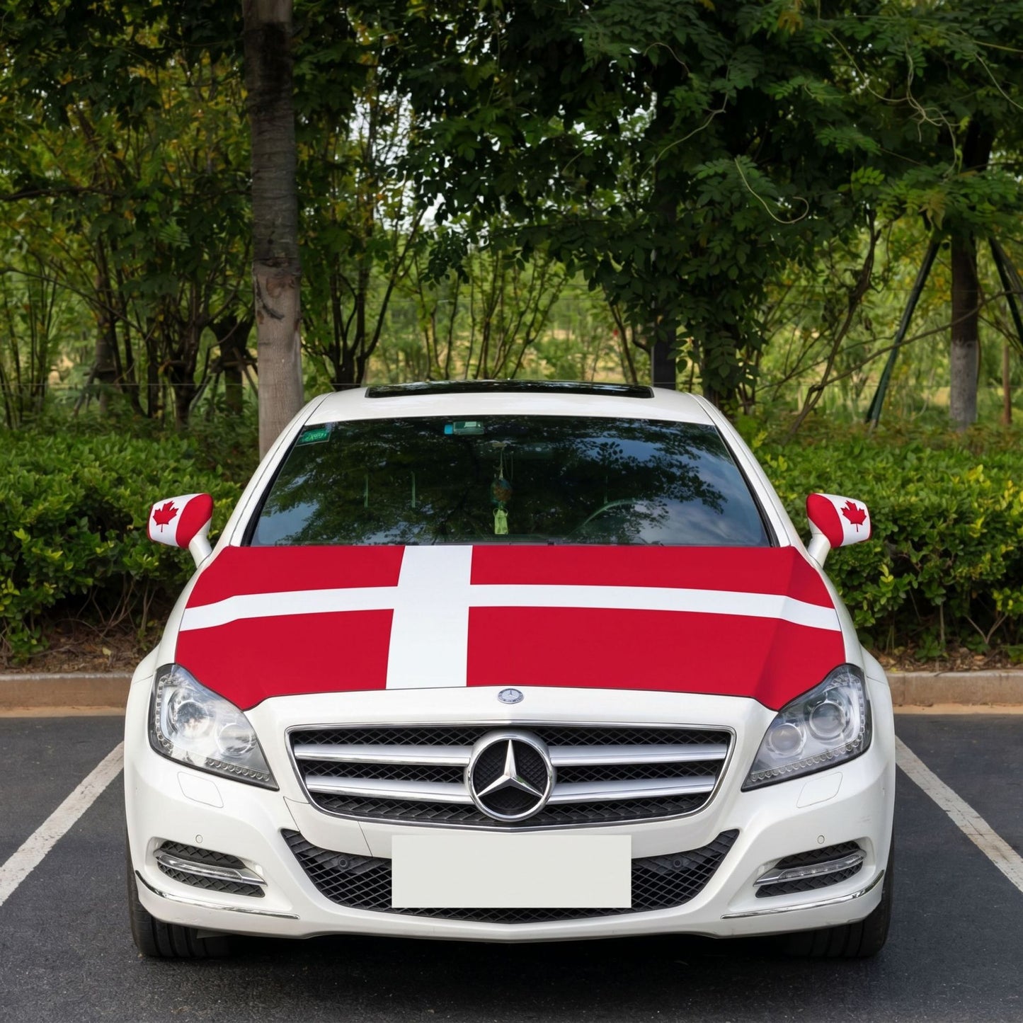 🎉4th Of July Flash Sale 65K+🔥Car Hood Flag🦅