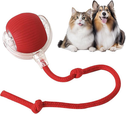Say goodbye to boring toys — only endless fun awaits!- interactive pet toy ball