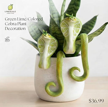 NEW FOR 2026  Cobra Plant Pot Decor🐍🌿