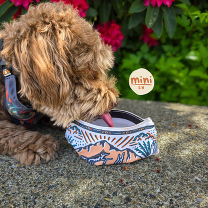 🐶2-in-1 Reversible Dog Bandana Bowl