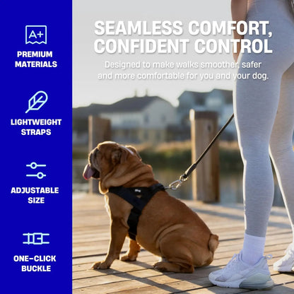 Dog Friendly Co. No-Pull Dog Harness