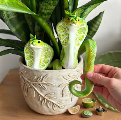 NEW FOR 2026  Cobra Plant Pot Decor🐍🌿
