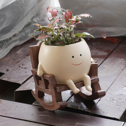 🏡Hot Selling Today – Swing Face Planter | Transform Empty Corners Into Eye-Catching Decor