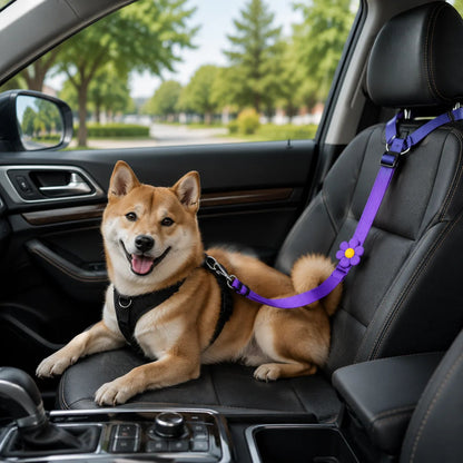 🔥HOT SELL🎁2-in-1 Dog Car Seat Belt & Walking Leash