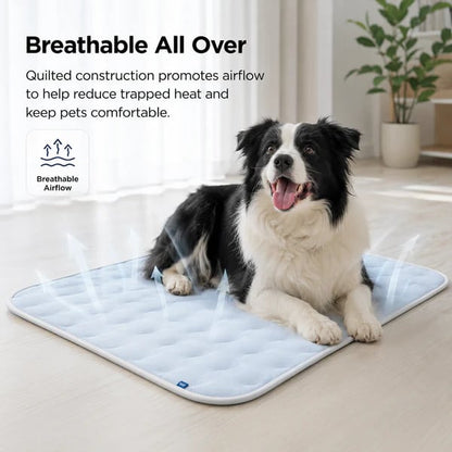 ❄️Cooling Pet Mat For Summer