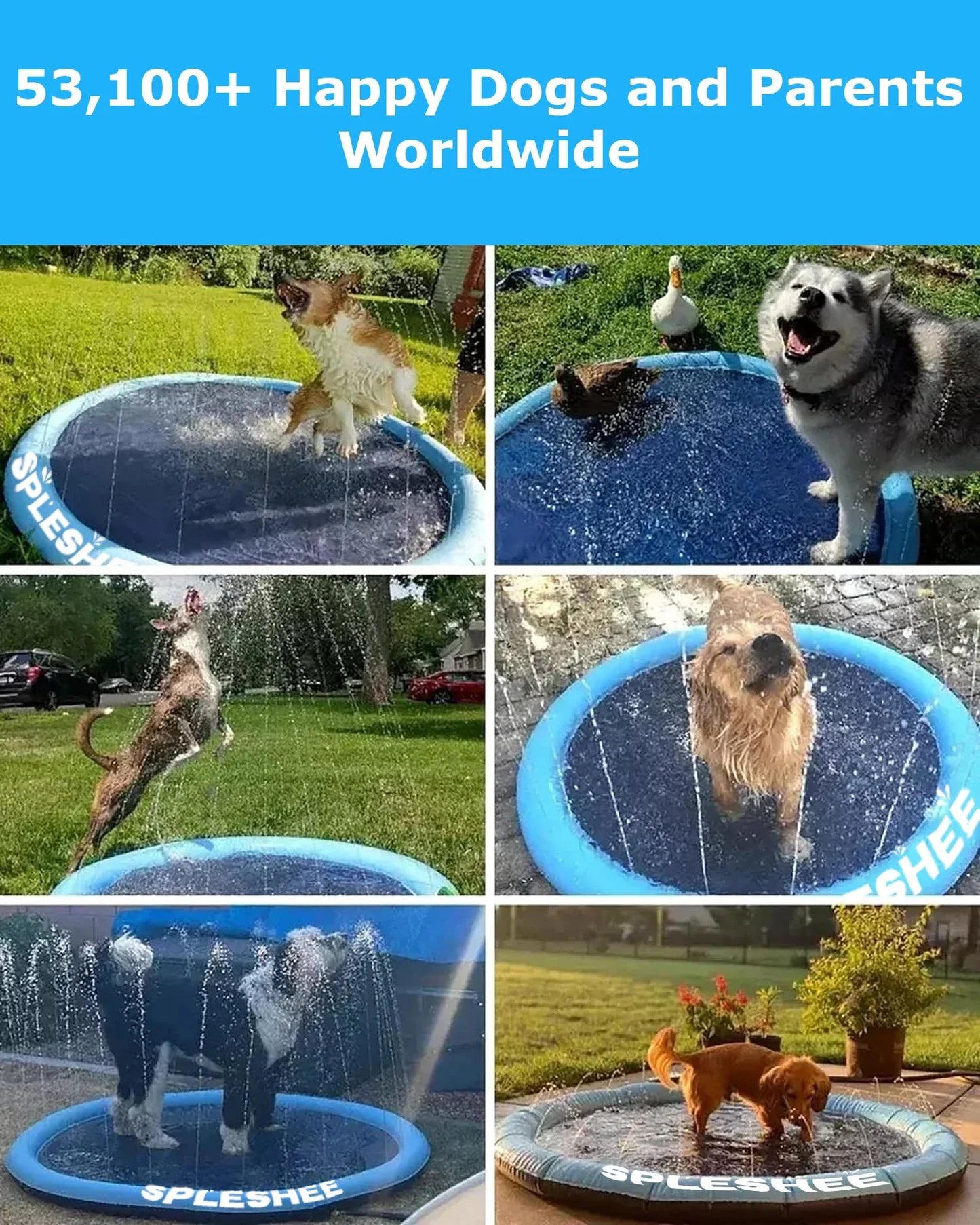 Outdoor Dog Water Sprinkler Pad- Portable Non-Slip Fun Pet Splash Pad for Bathing &Play