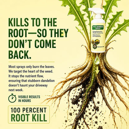 🌿Fast-acting Natural Weed & Grass Killer Spray