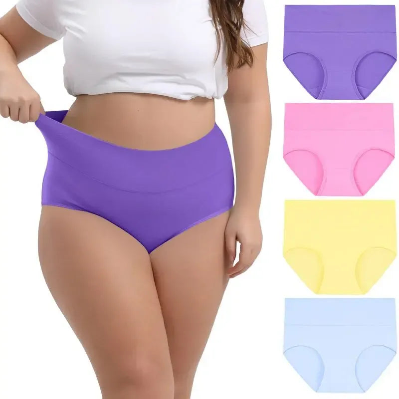 Women's Plus Size High Waisted Briefs 4-Pack