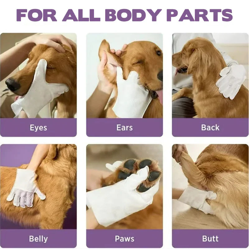 🔥Summer Solstice Limited Special Offer 40% Off！-Rinse-Free Pet Cleaning Deodorizing Gloves