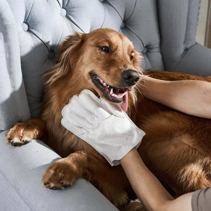 🔥Summer Solstice Limited Special Offer 40% Off！-Rinse-Free Pet Cleaning Deodorizing Gloves